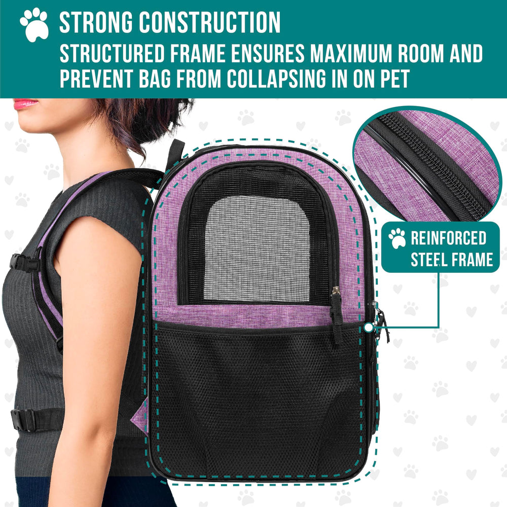 PetAmi padded back and straps improve comfort on long journeys.
