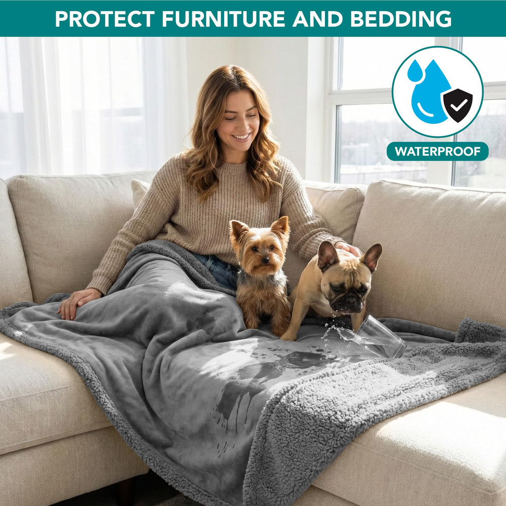 PetAmi pee-proof blanket keeps furniture clean during pets' playtime.