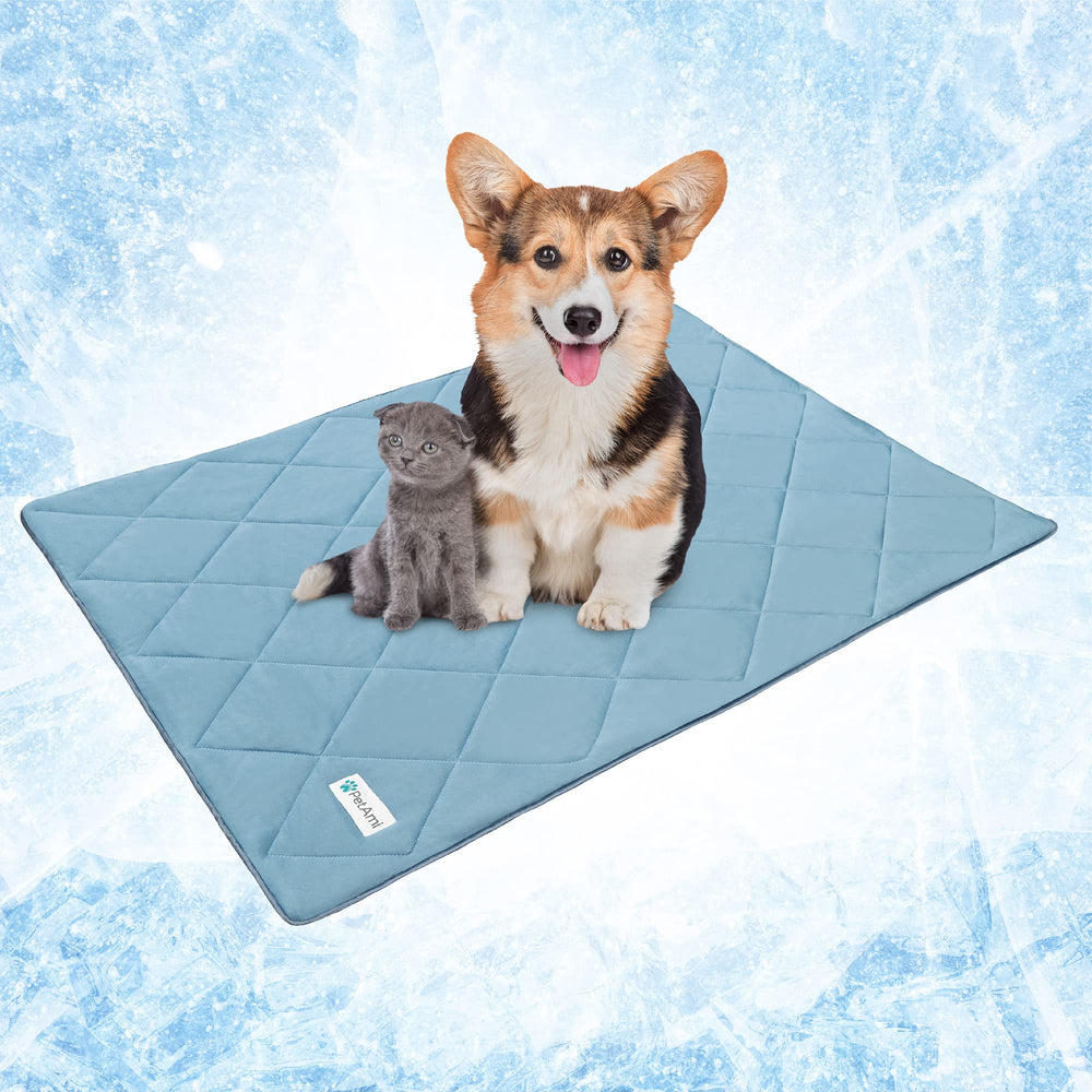 PetAmi Premium Cooling Blanket lightweight and durable for travel.
