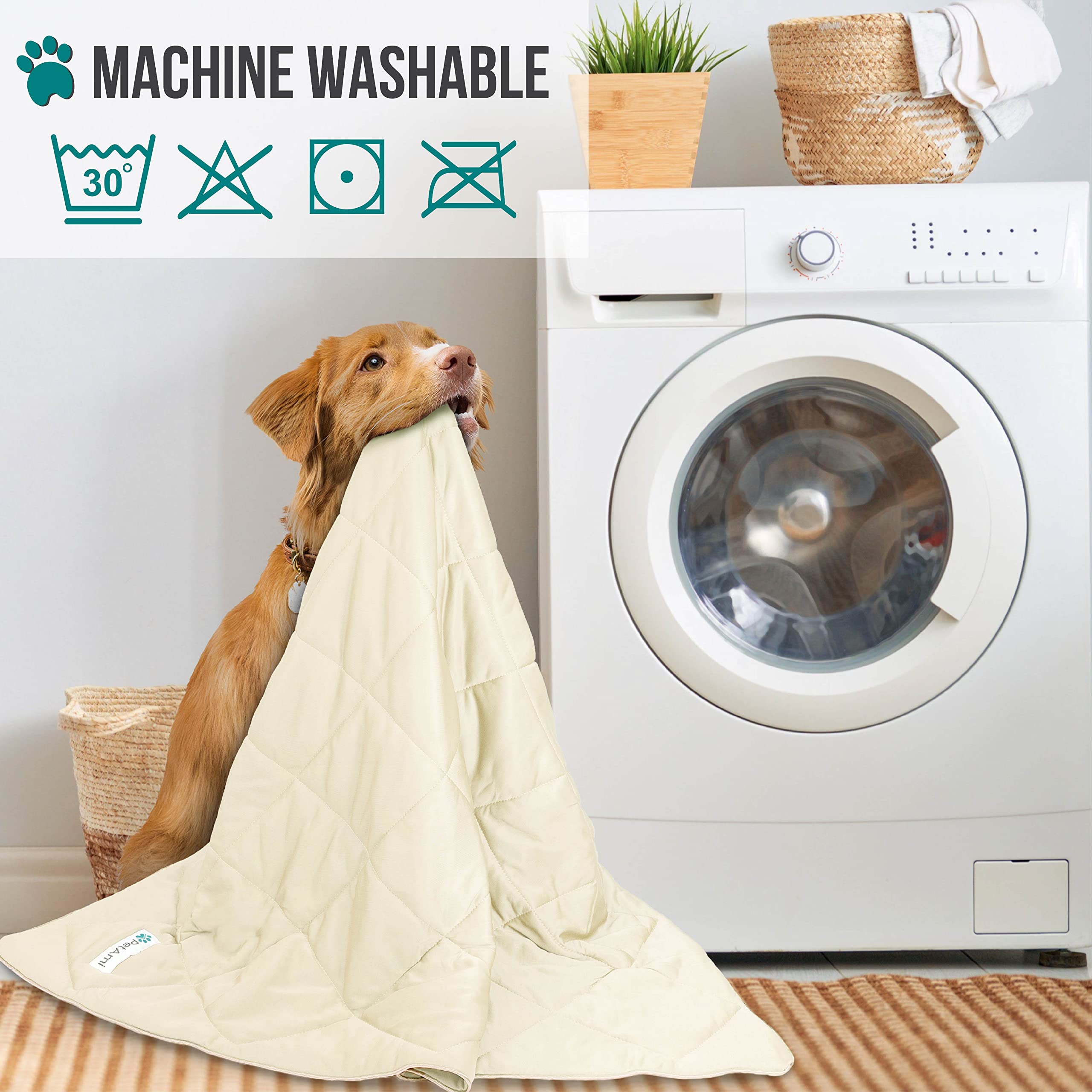 PetAmi Premium Cooling Blanket in-car-ready supports pet travel comfort.