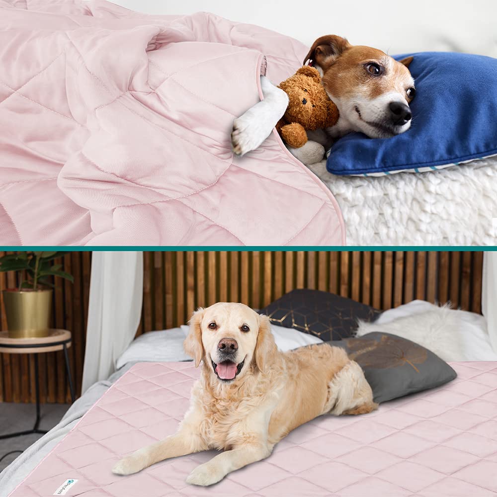 PetAmi Premium Cooling Blanket on sofa protects furniture while keeping pets comfy.