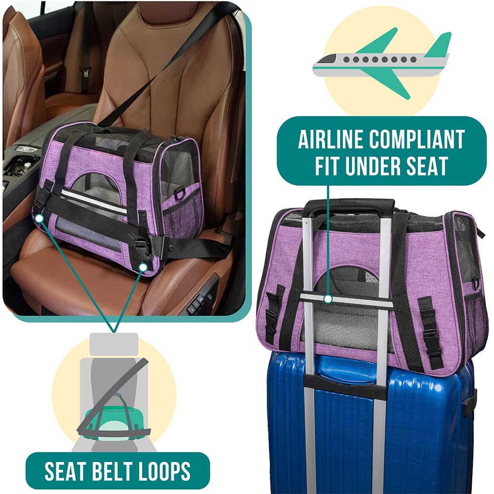 PetAmi reflective trim enhances visibility during night travel