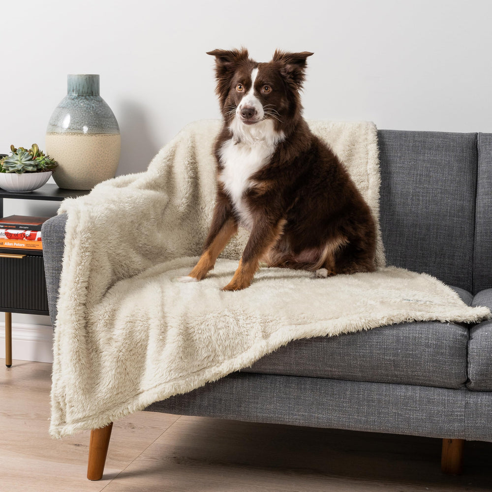 PetAmi reversible sherpa fleece blanket offers two cozy looks for pets and homes.