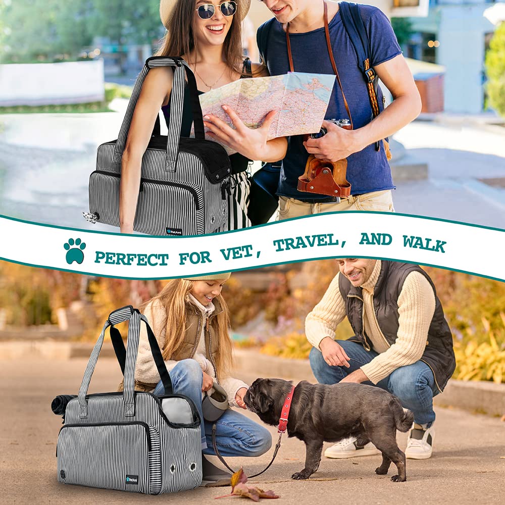 PetAmi airline approved design suitable for travel with small pets