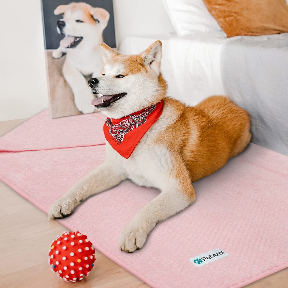 PetAmi travel-friendly pet blanket for car trips and hotels.