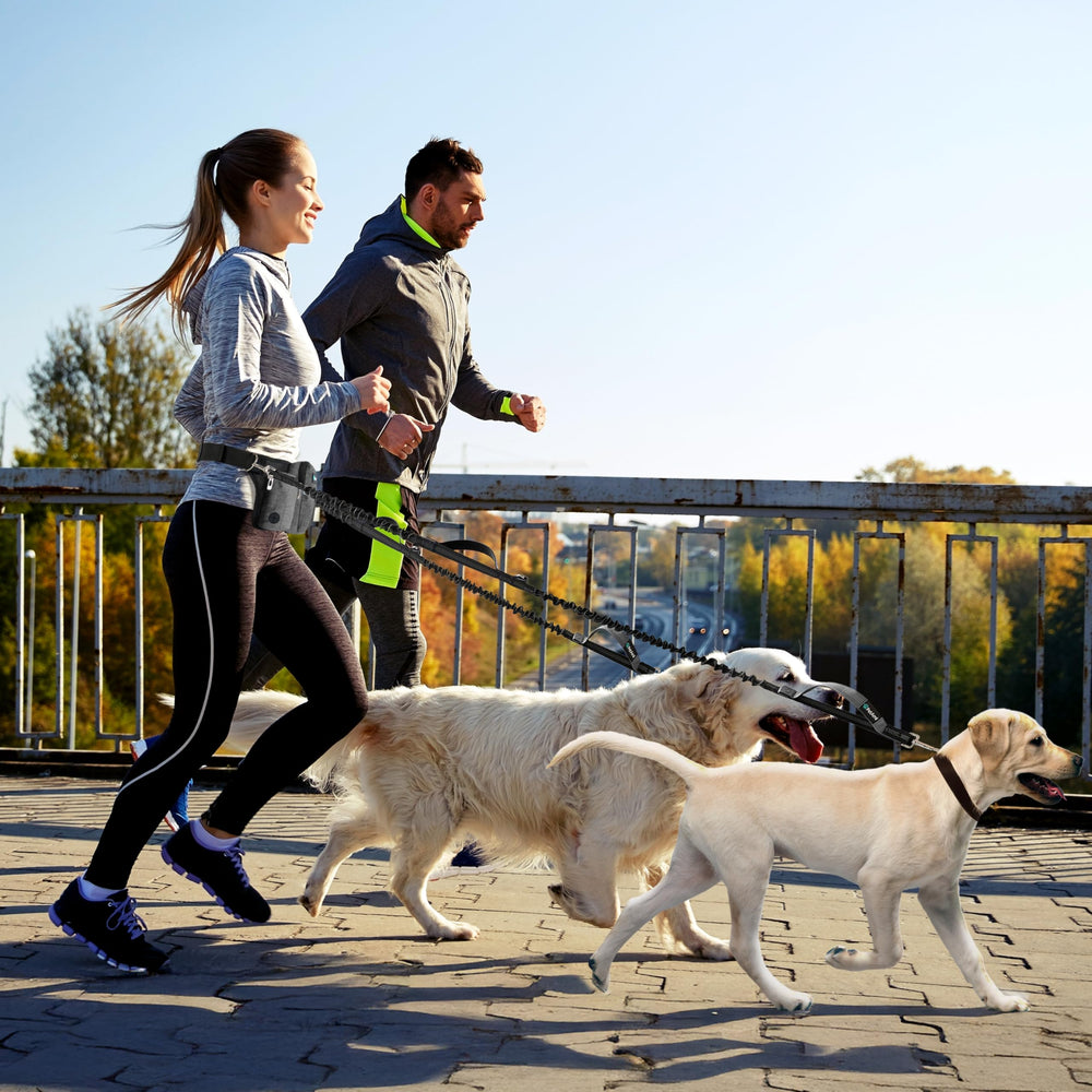 Two-dog walking setup suitable for running and hiking
