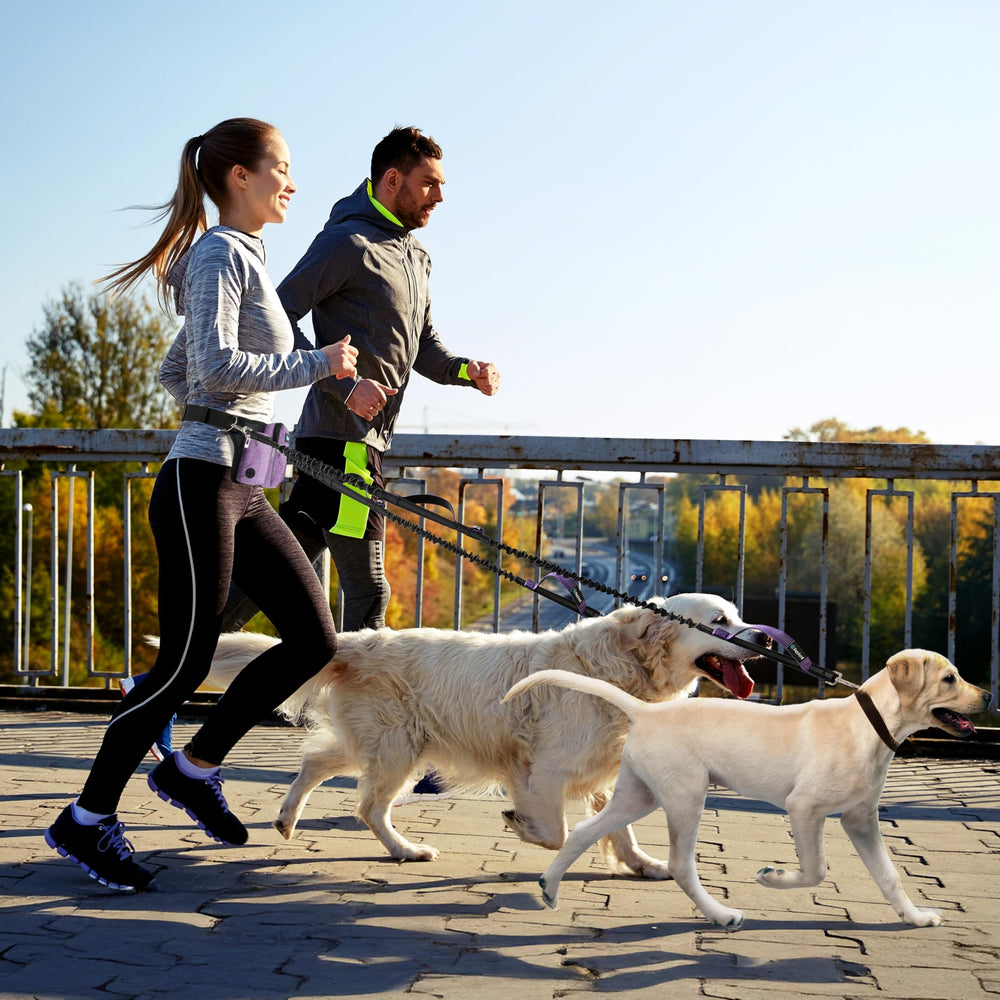 PetAmi pack includes water bottle pocket for on-the-go hydrating.