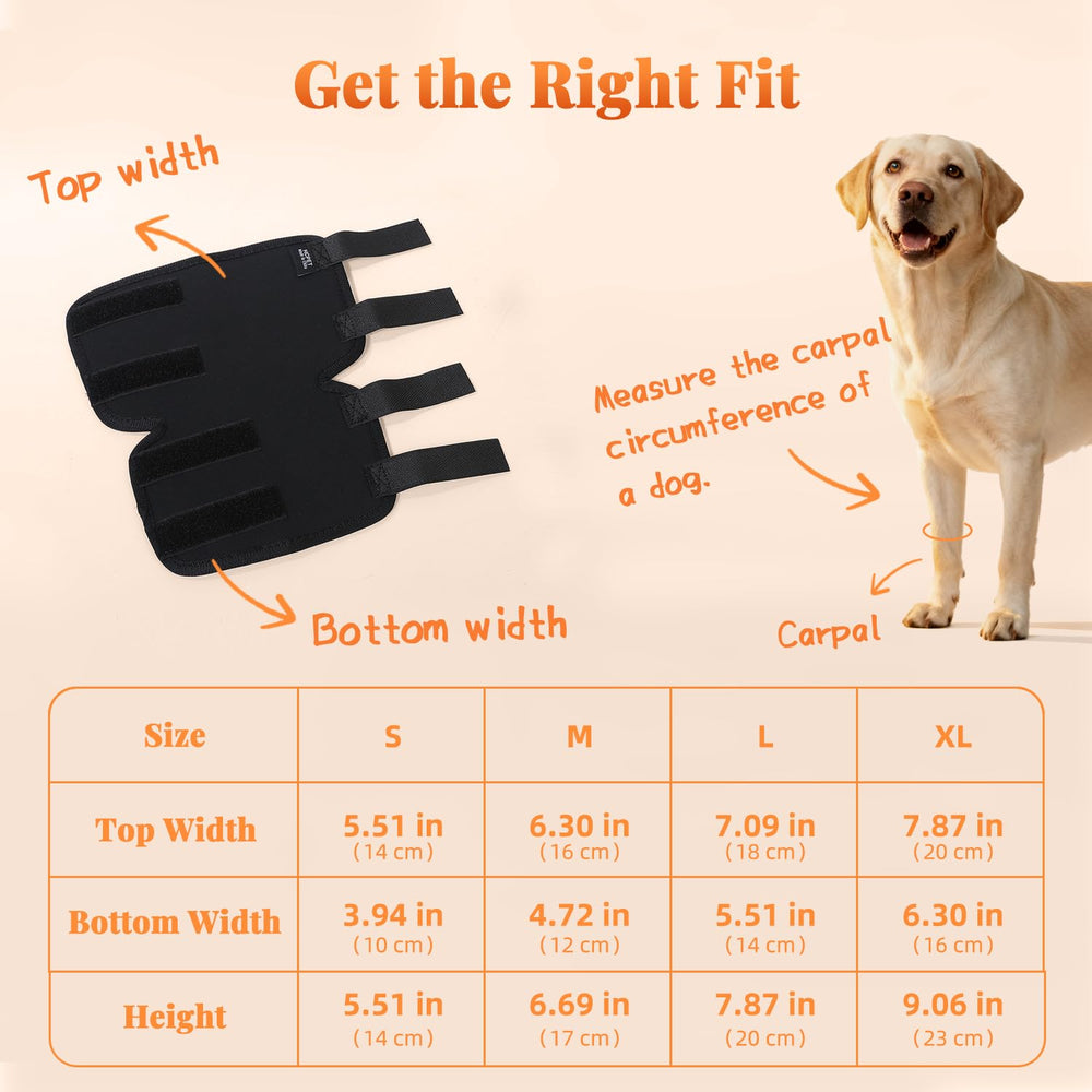 Petanims adjustable straps keep the wrap secure on active dogs.