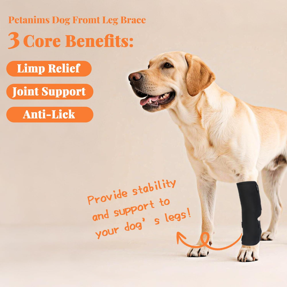 Petanims brace shows anti-slip design to keep the wrap in place during walks