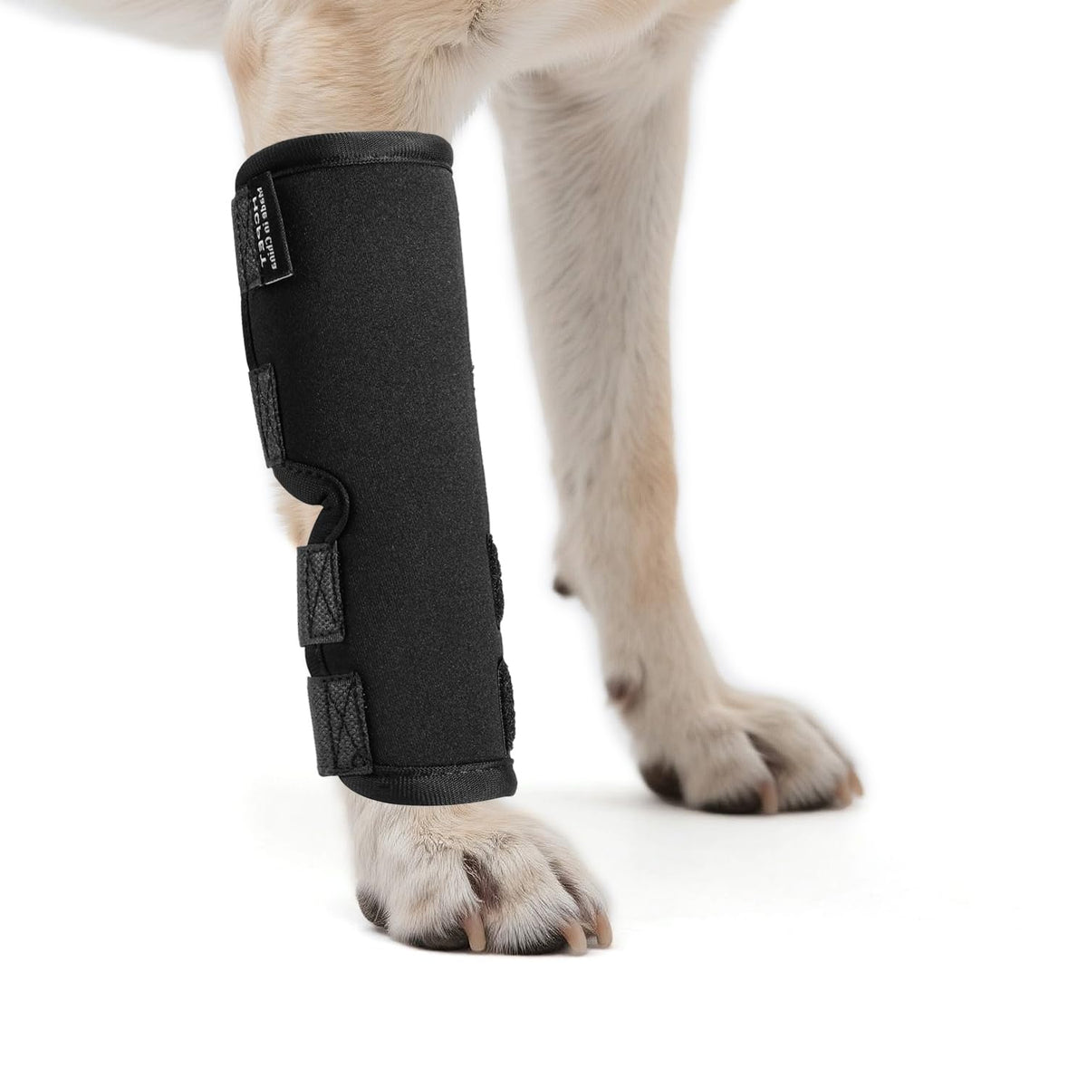 Petanims front leg brace closeup highlighting soft neoprene support for stability