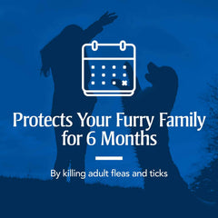 PetArmor 6-month protection collar provides long-lasting flea and tick control.