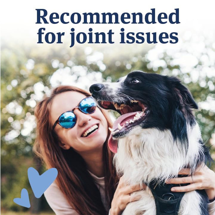 PetArmor Aspirin large dogs packaging conveys vet-quality joint relief.