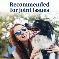 PetArmor Aspirin large dogs packaging conveys vet-quality joint relief.