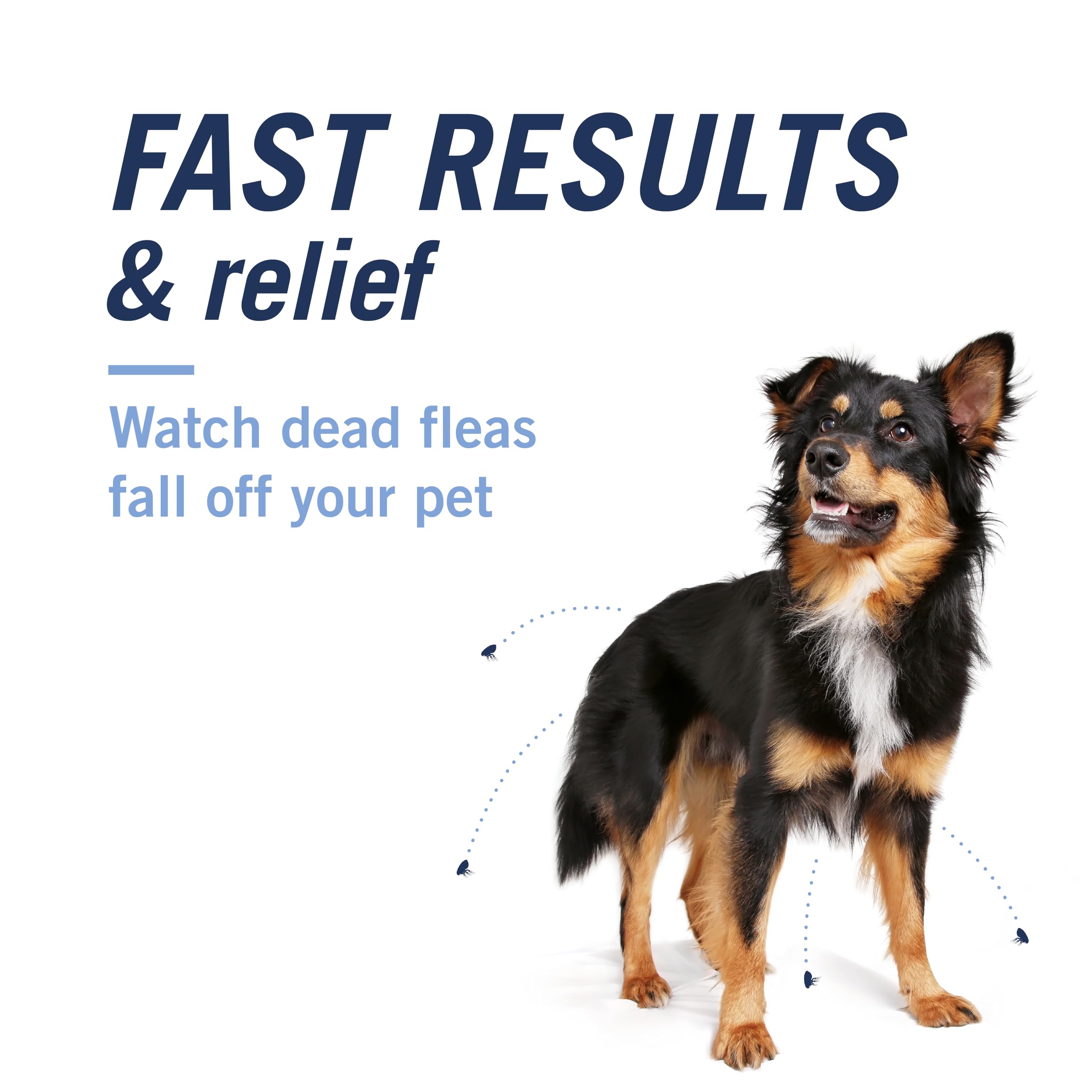 CAPACTION tablet shown with 30-minute onset for flea control.
