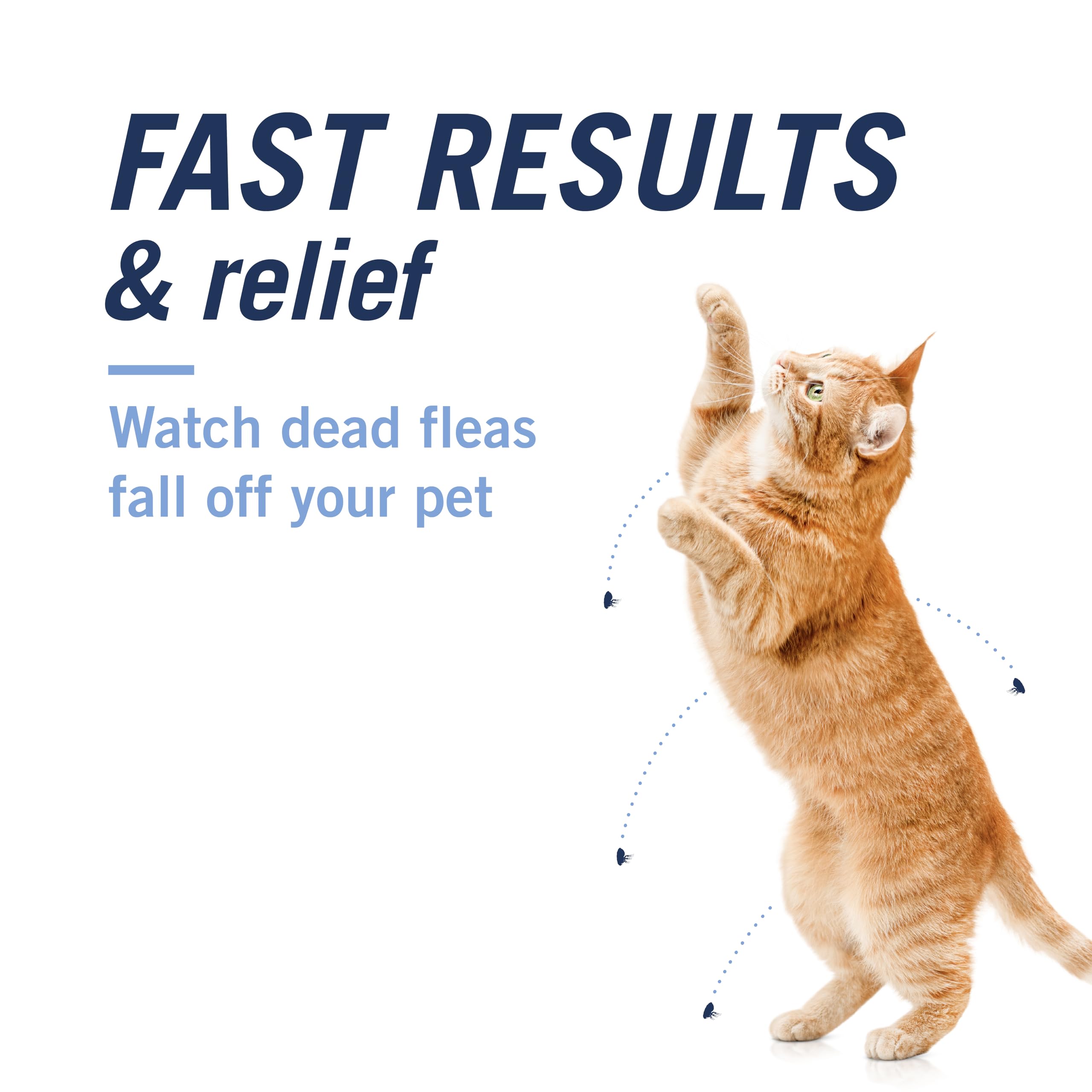 PetArmor CAPACTION bottle and 6-dose pack illustrating easy flea control.