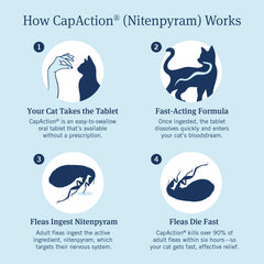 PetArmor CAPACTION dose administration demonstrates simple daily flea protection.