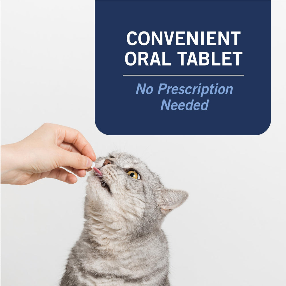 PetArmor CAPACTION anti-flea tablet shown to start killing fleas quickly.