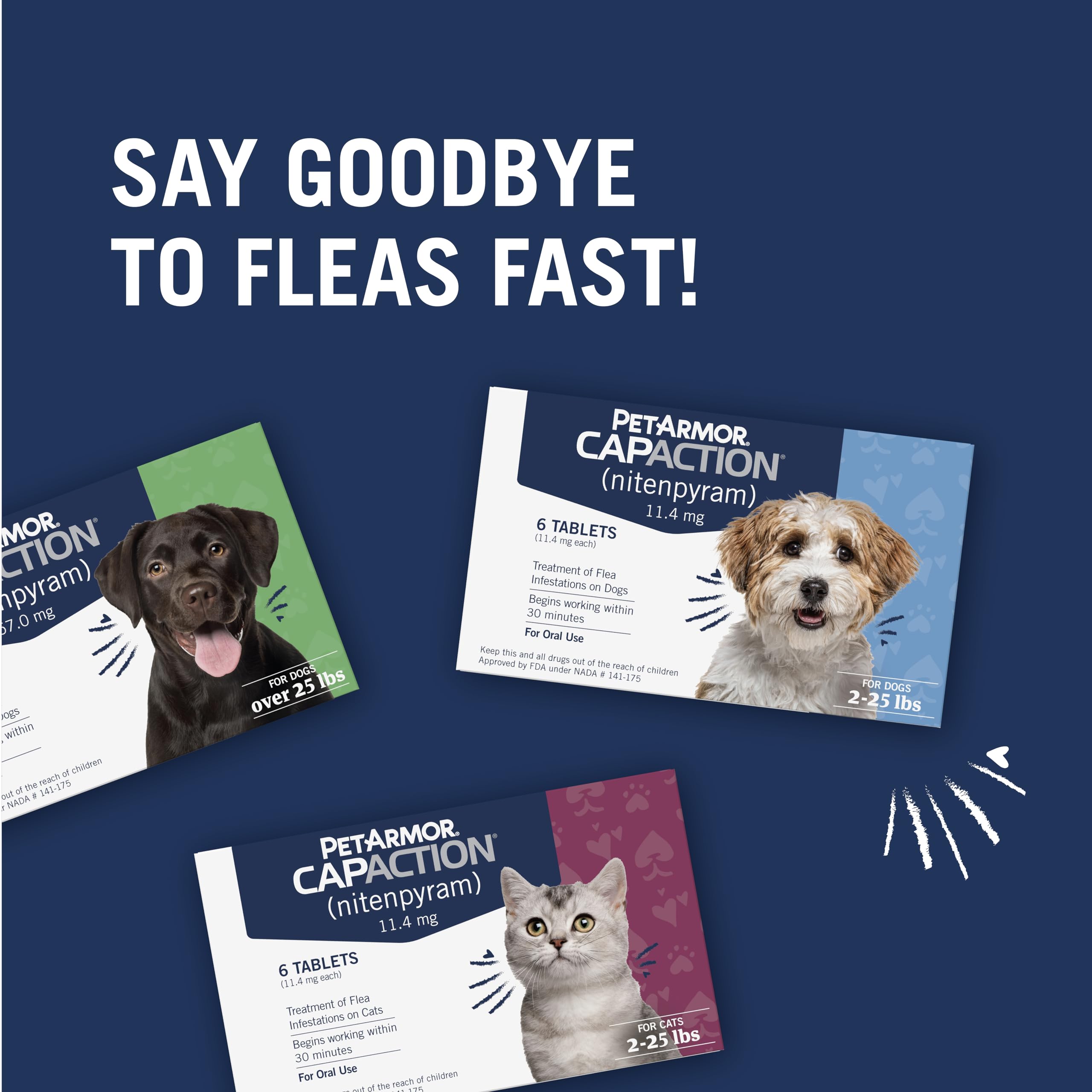 Six-dose CAPACTION pack prepared for ongoing flea management.