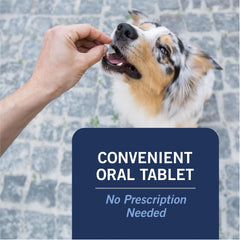 Owner administering CAPACTION to dog, mess-free, no topical treatment.