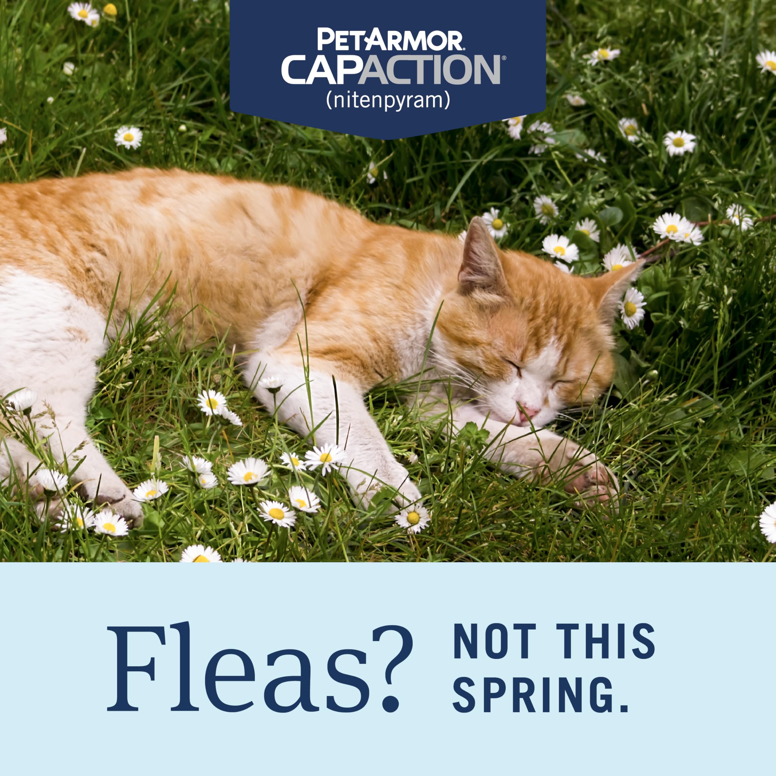 PetArmor CAPACTION tablet closeup highlighting a fast-acting flea solution for cats.