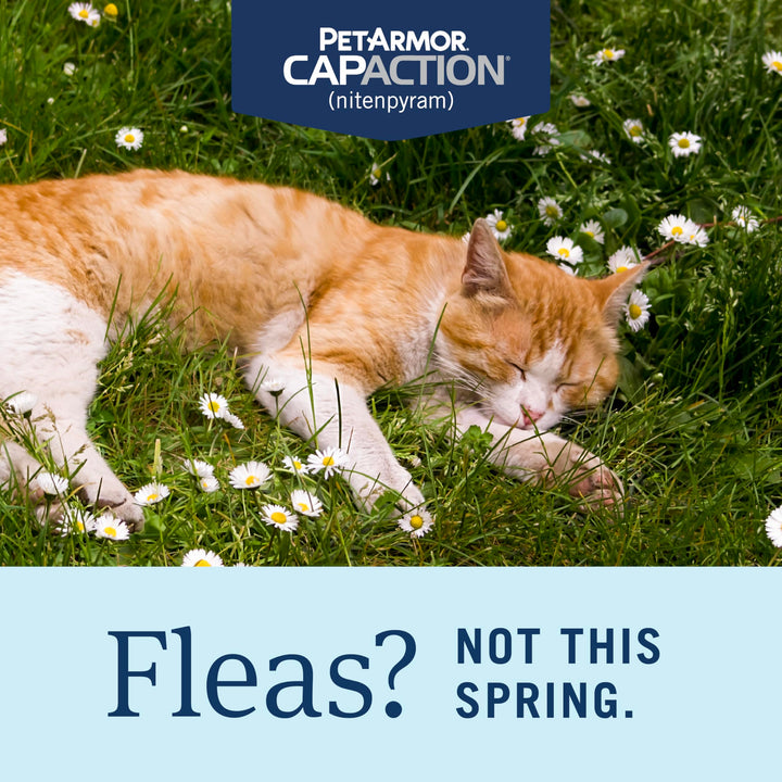 PetArmor CAPACTION tablet closeup highlighting a fast-acting flea solution for cats.