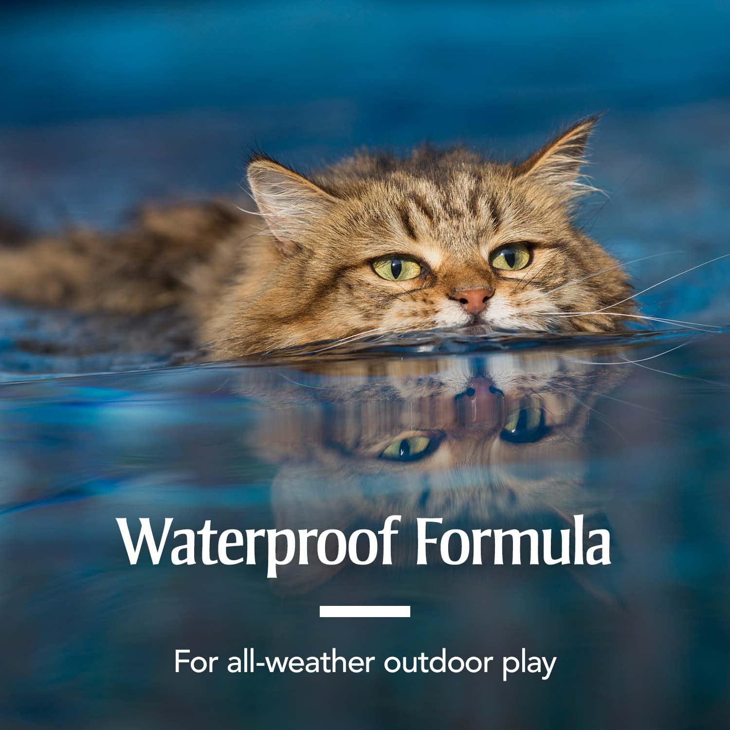 PetArmor Cat comfort after treatment helps reduce grooming worries.
