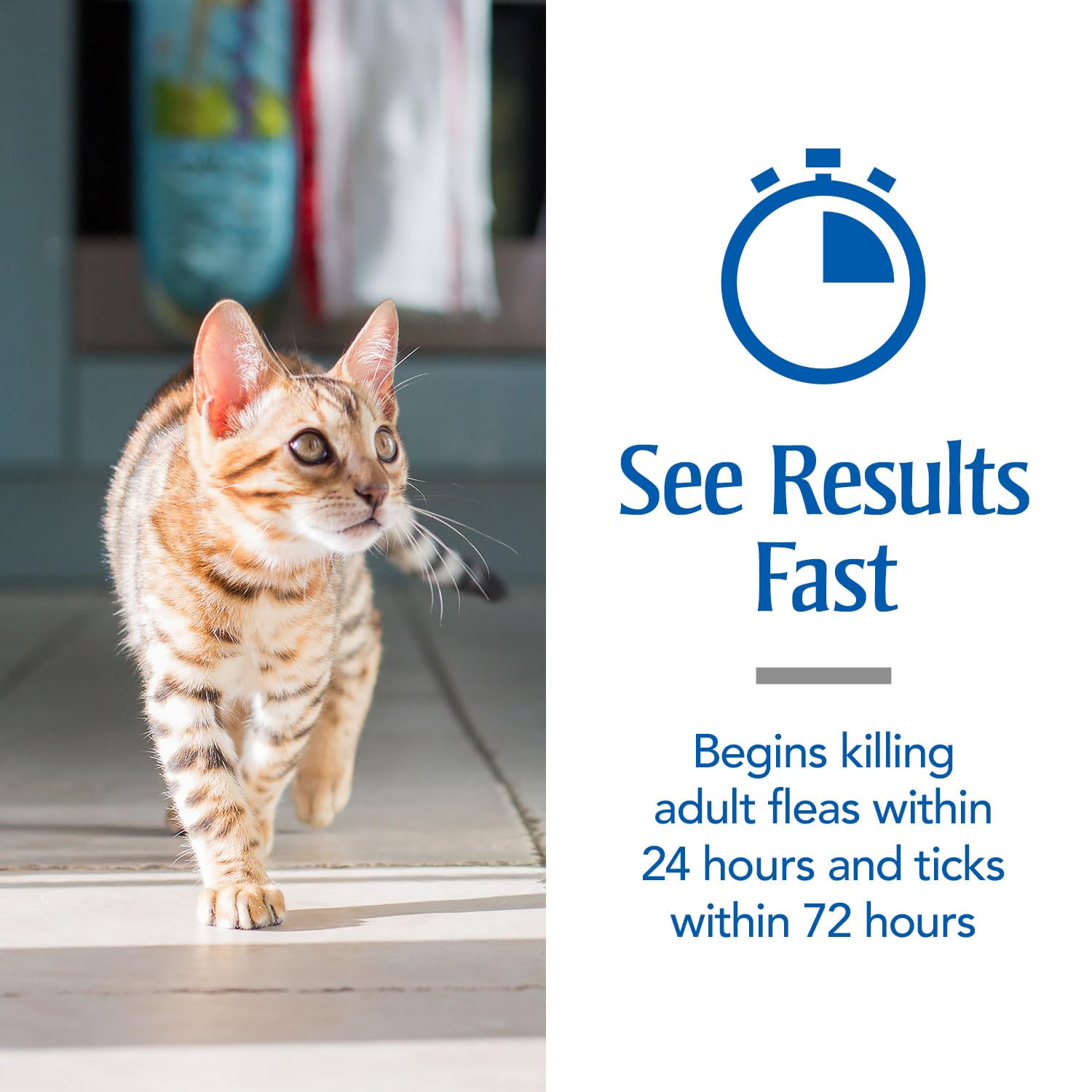 PetArmor Cat indoor-outdoor use protects your cat wherever it roams.