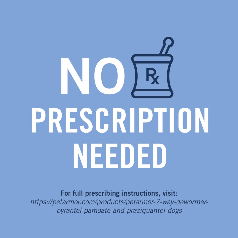 PetArmor chewable tablets close-up highlighting palatable administration.