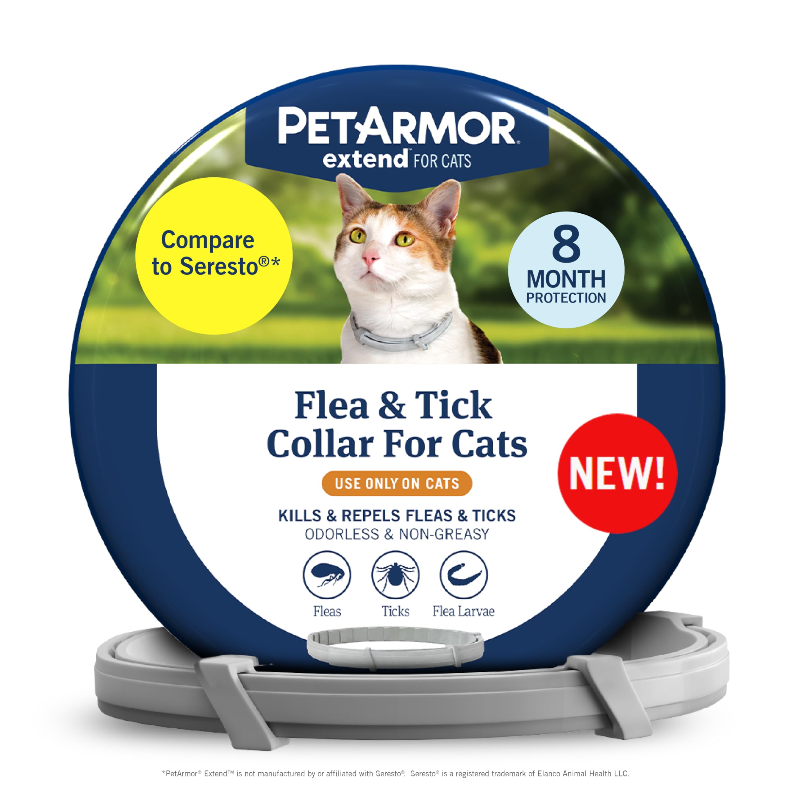 PetArmor Extend cat collar on neck delivering long-lasting protection.