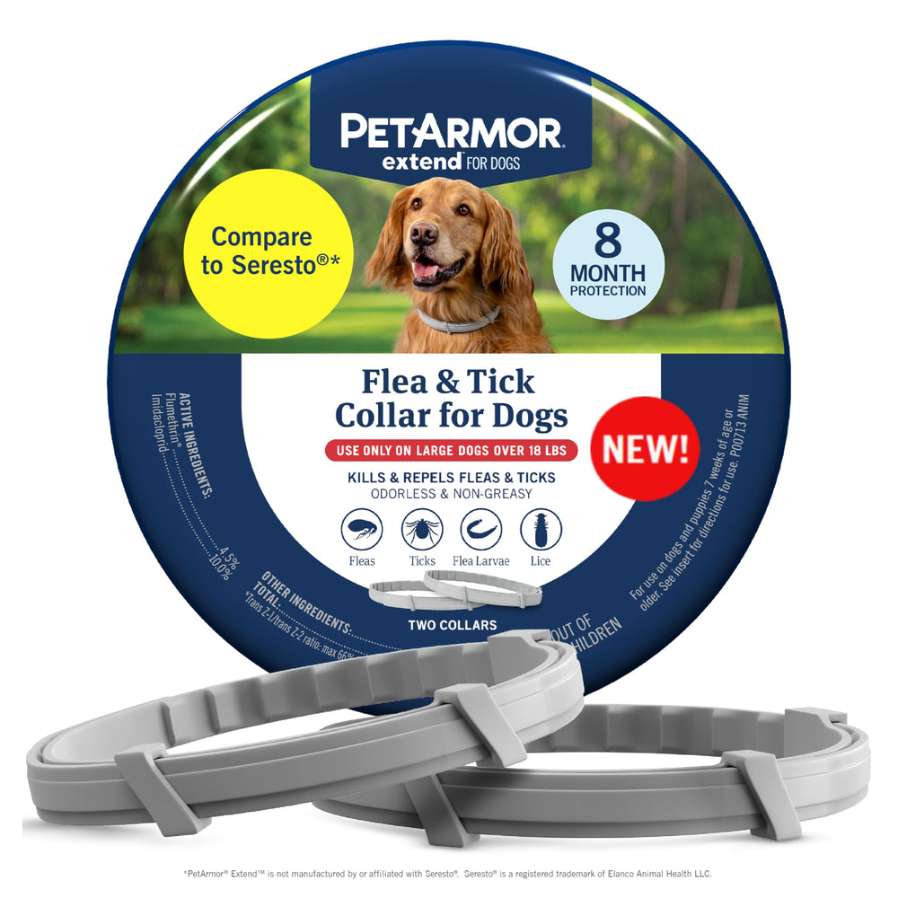 PetArmor Extend collar worn by a large dog for lasting protection