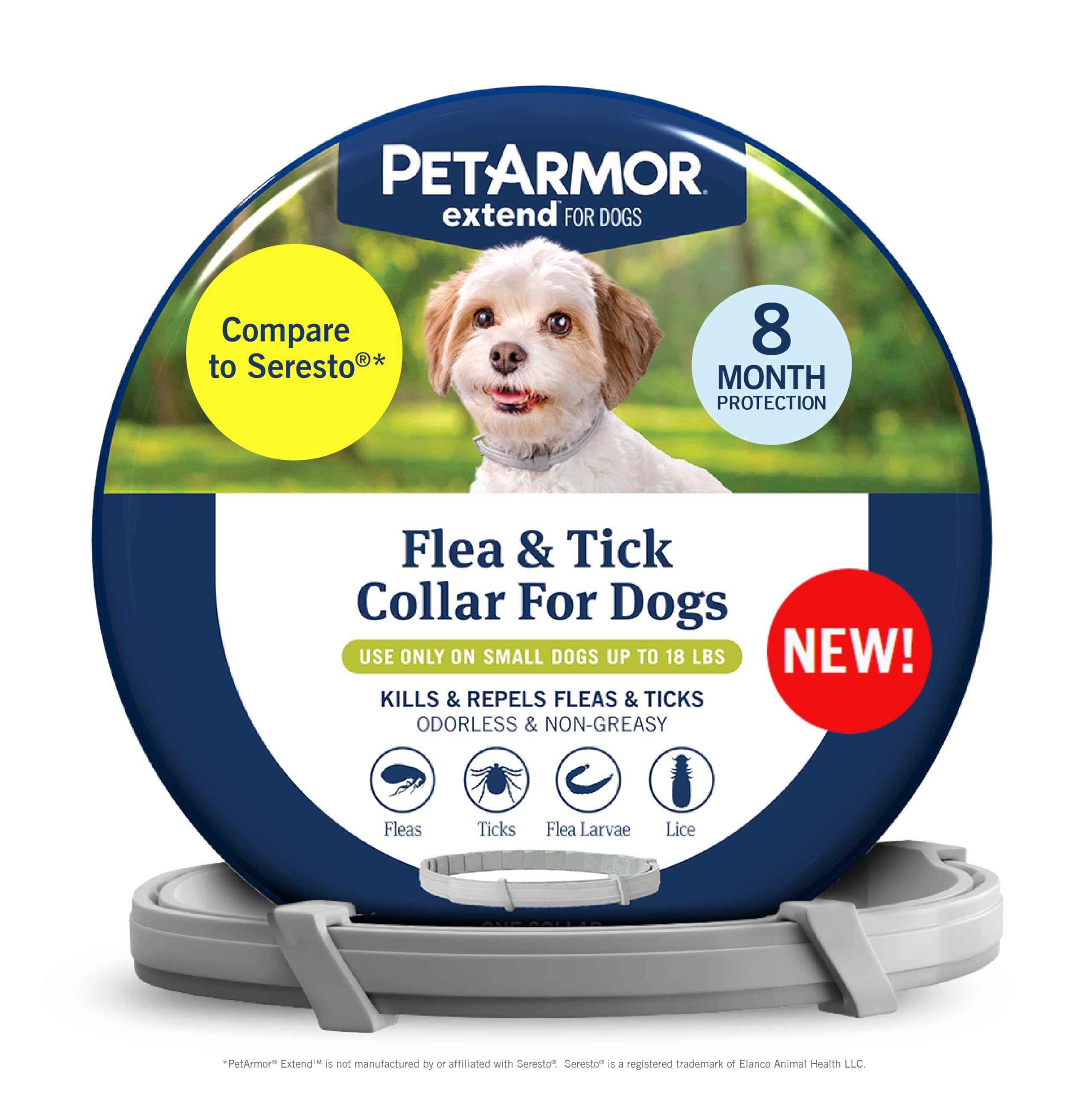 PetArmor Extend collar on a small dog providing long lasting protection