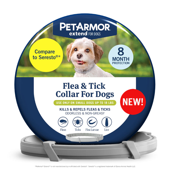 PetArmor Extend collar on a small dog providing long lasting protection