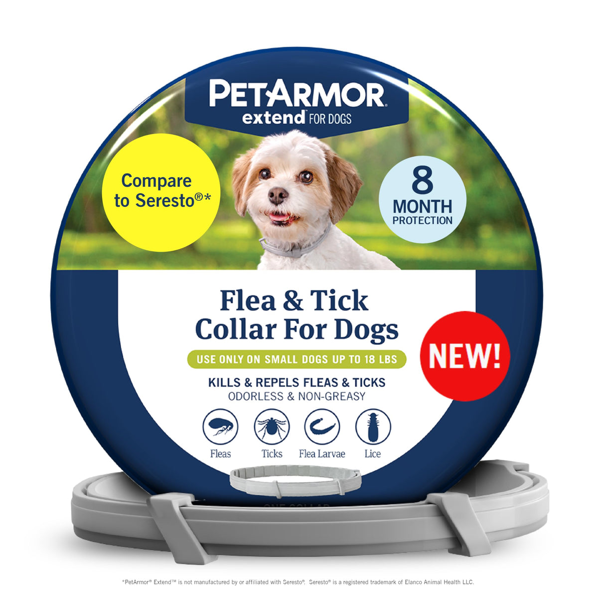 PetArmor Extend collar on a small dog providing long lasting protection