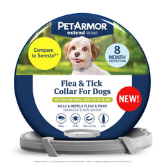 PetArmor Extend collar on a small dog providing long lasting protection