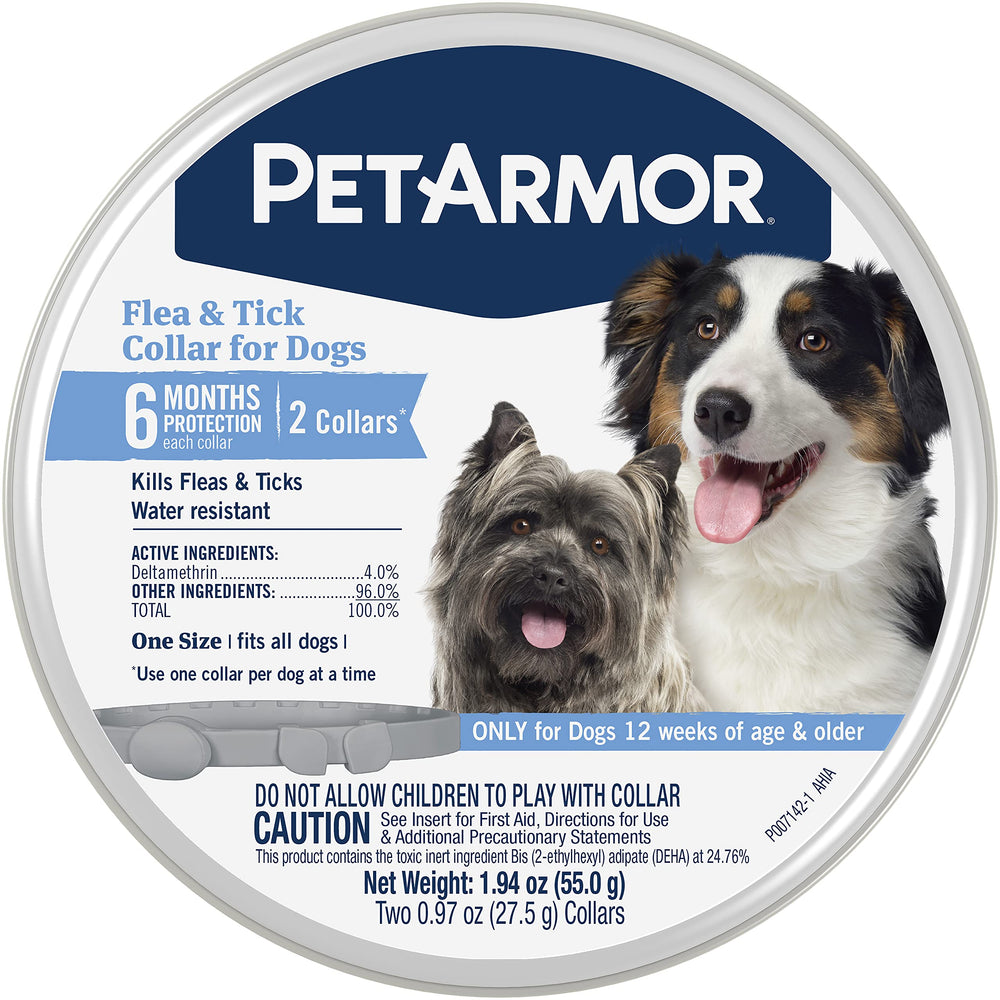 PetArmor flea and tick collar on a dog's neck provides long-lasting protection.