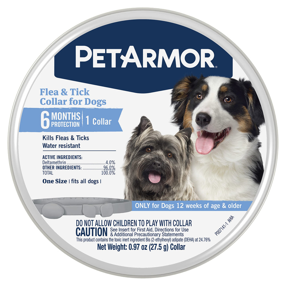 PetArmor flea and tick collar on a dog's neck for lasting protection.