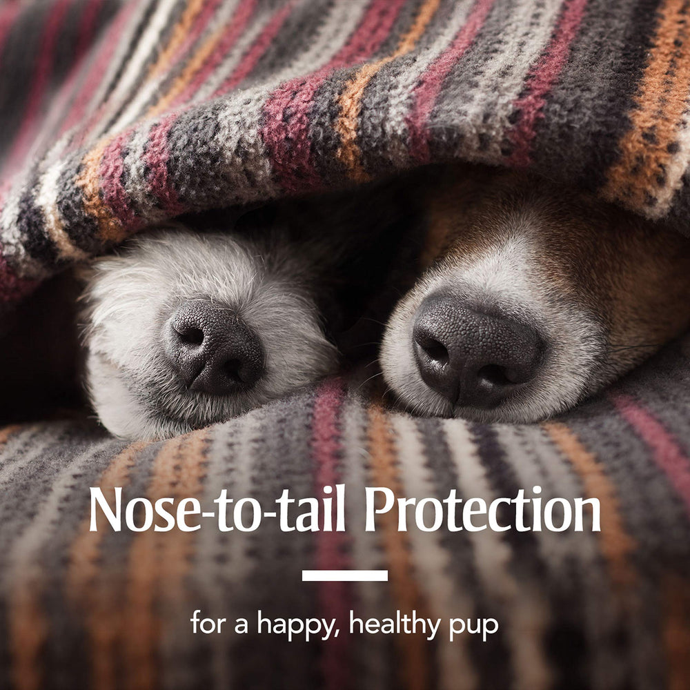 One-size-fits-all PetArmor collar design shown on a dog for easy adjustments.