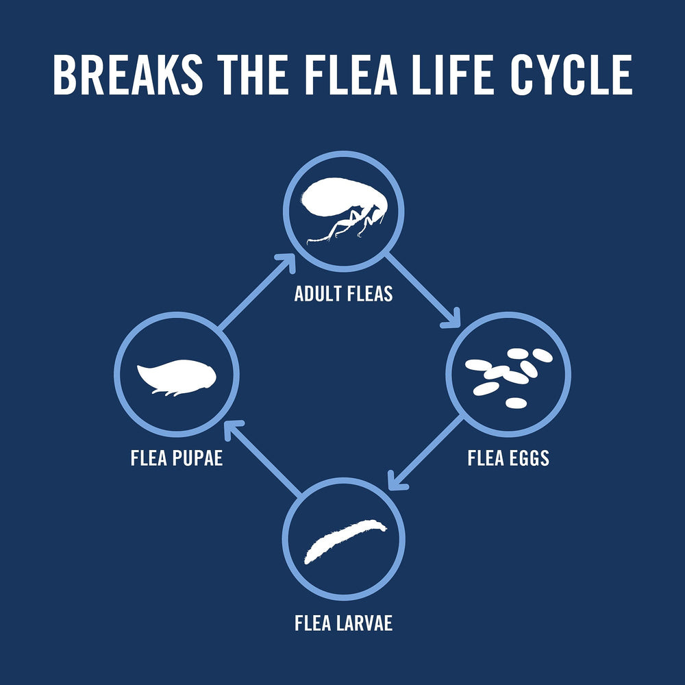 PetArmor Plus breaks the flea life cycle for ongoing protection