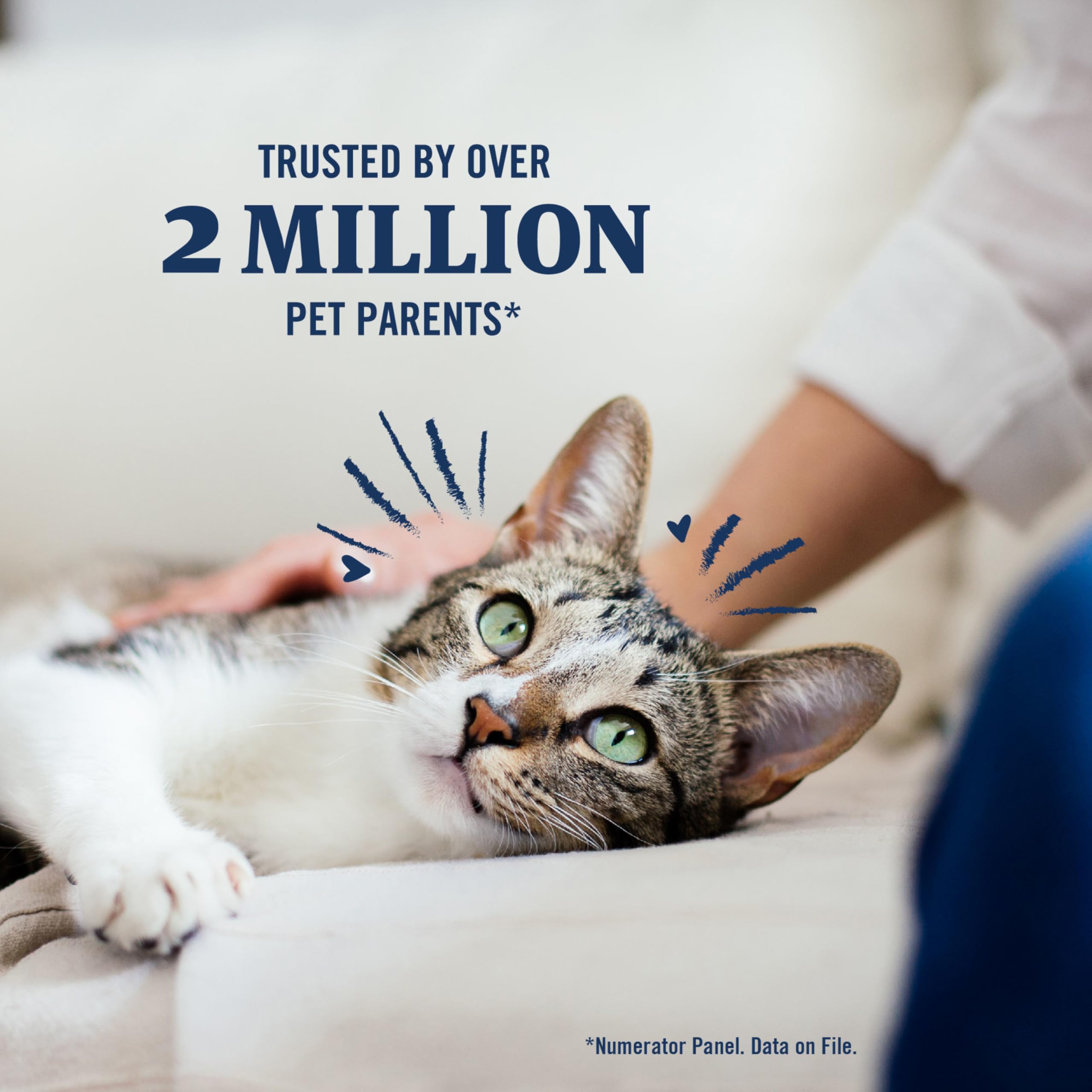 PetArmor Plus uses same actives as Frontline Plus for cats.