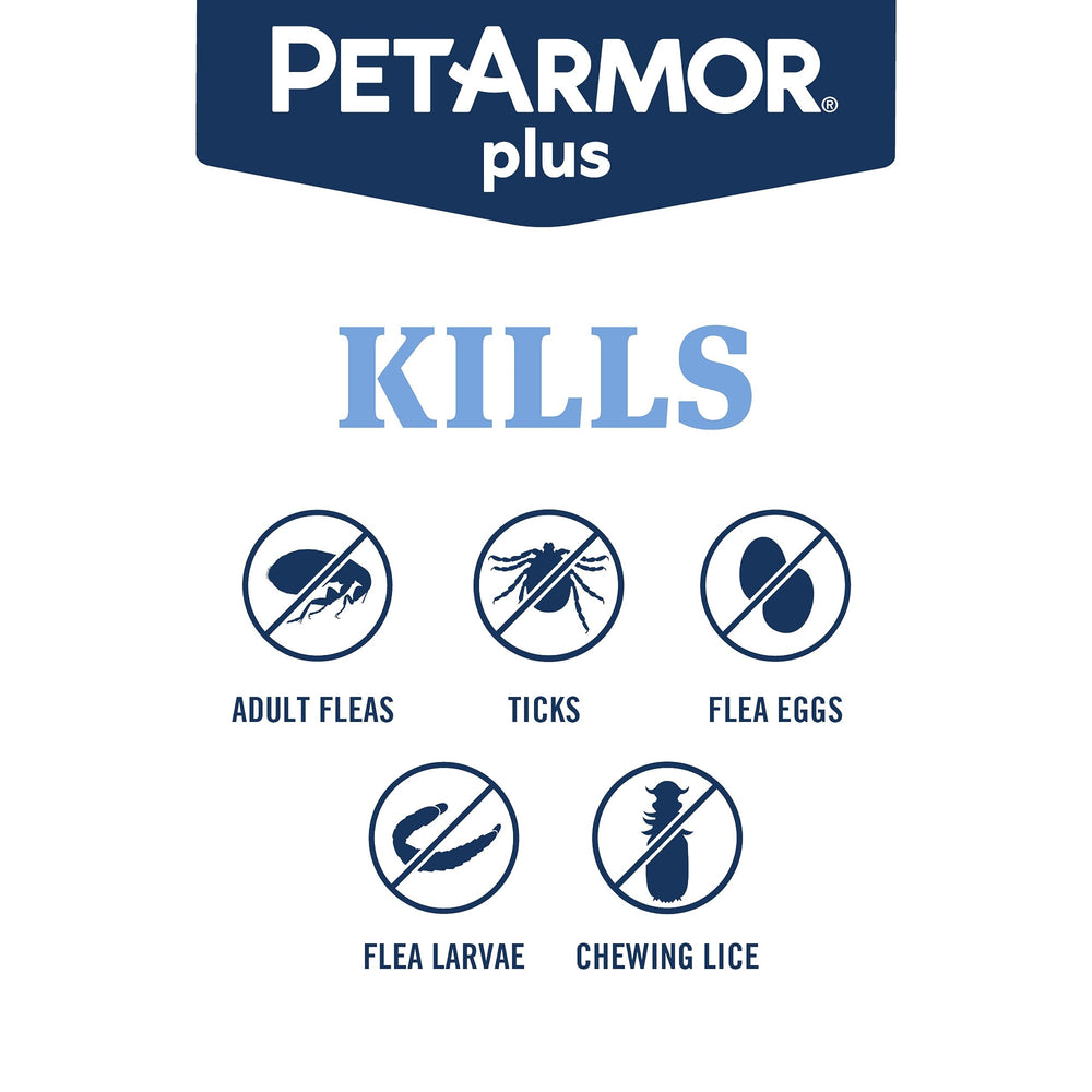 PetArmor Plus topical application on a cat provides fast-acting flea and tick protection.