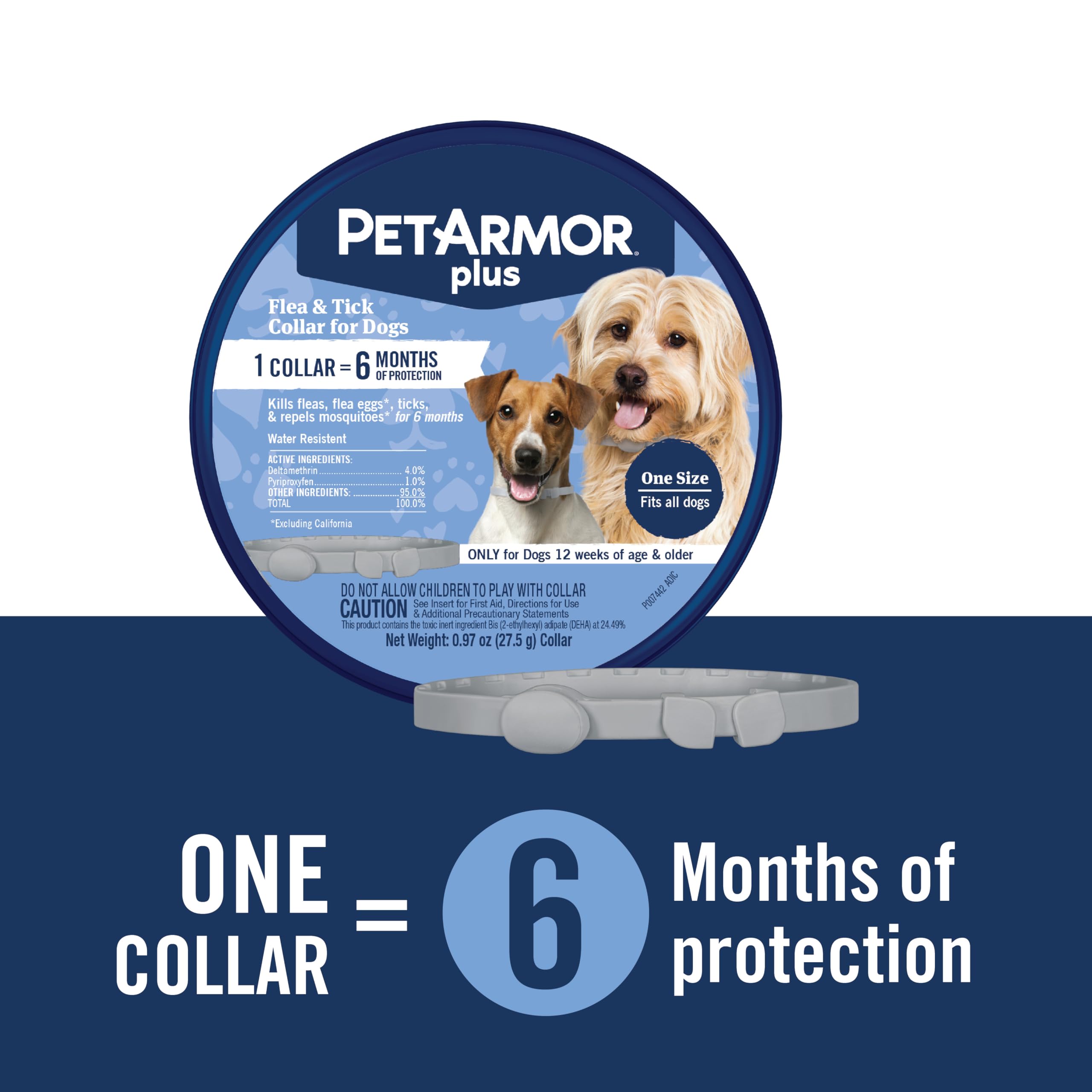 PetArmor Plus waterproof dog collar ready for rainy adventures and splashes.
