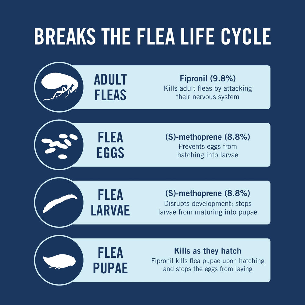 PetArmor Plus demonstrates 24-hour kill speed for fleas.