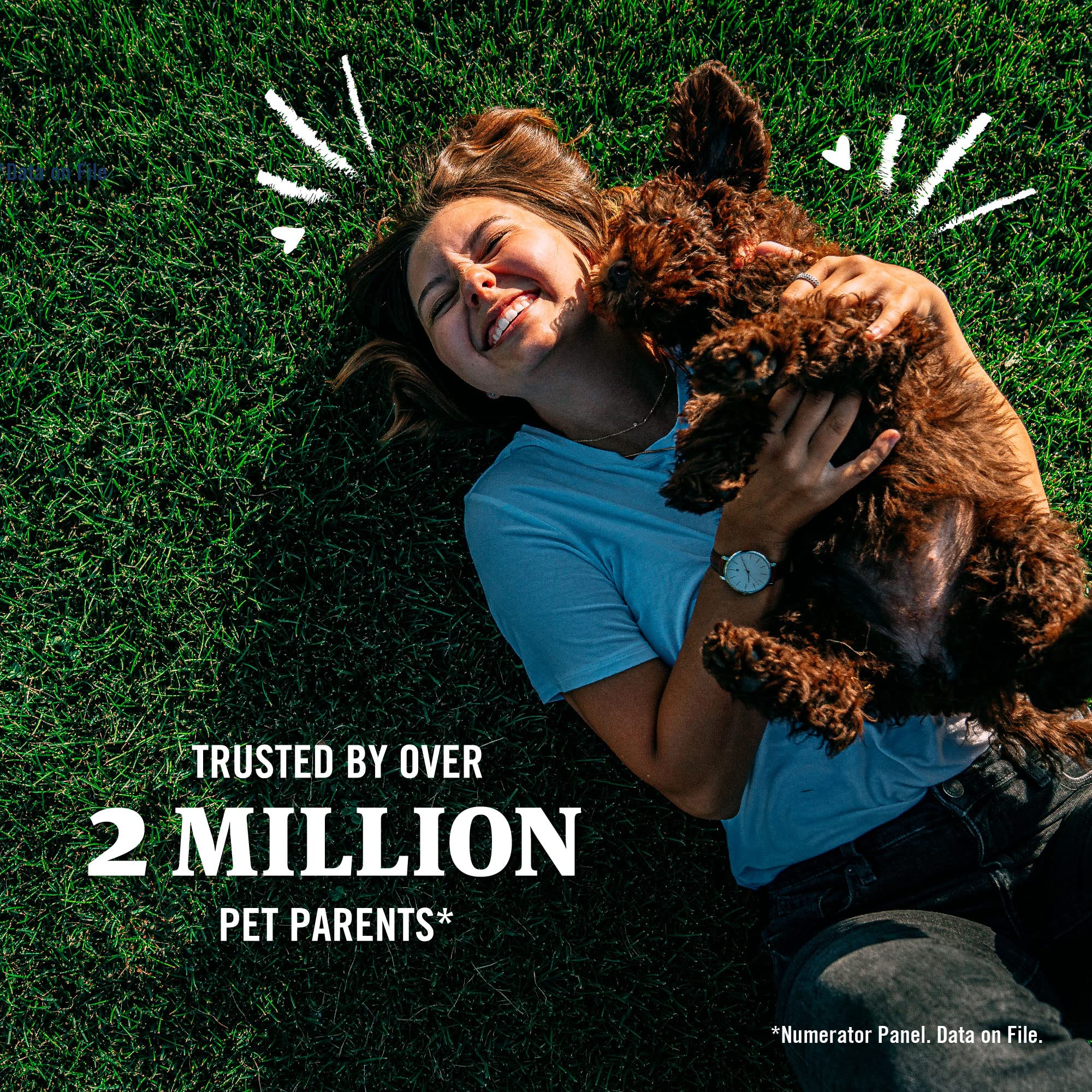 PetArmor Plus fast-acting flea treatment ready to protect your dog