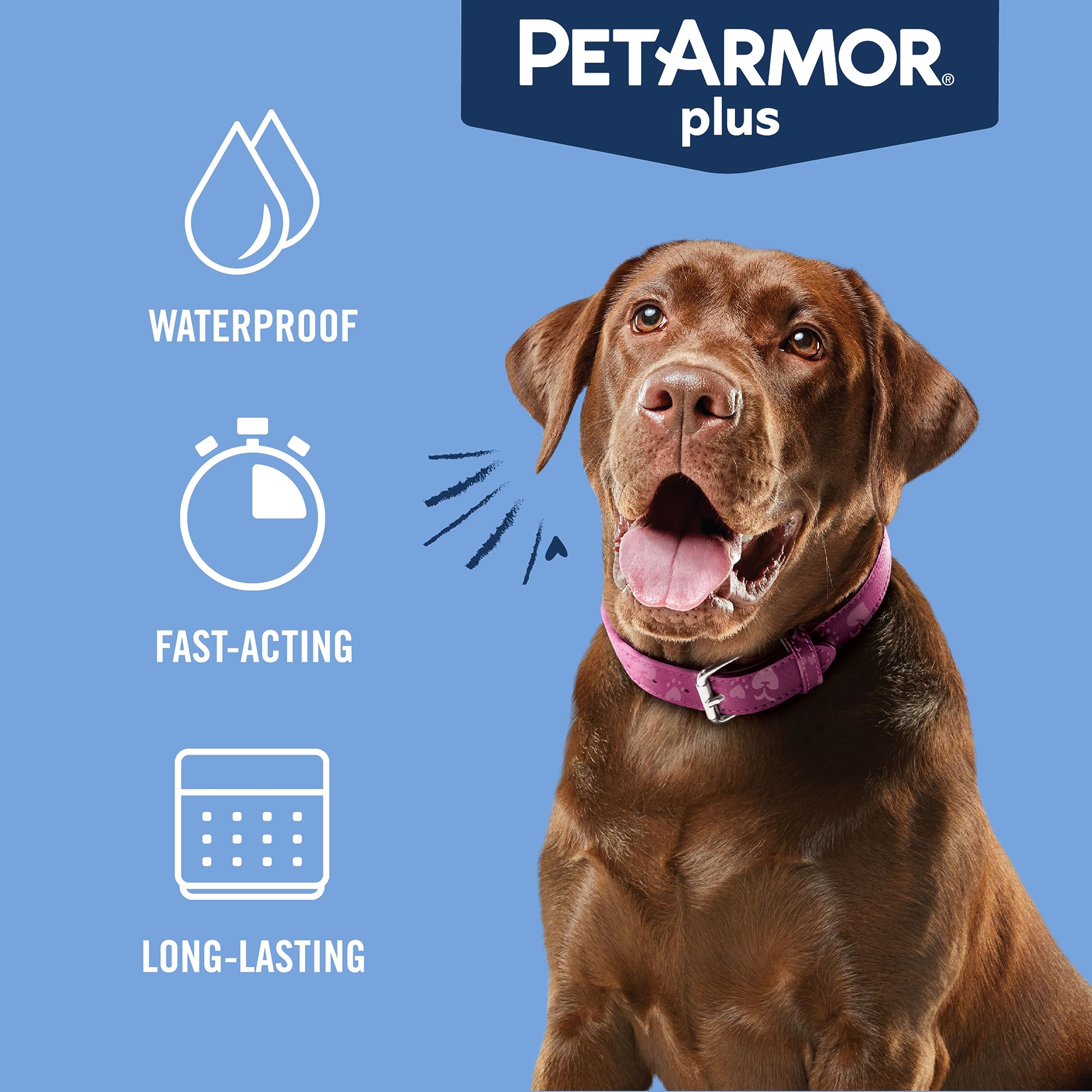 PetArmor Plus large dog twelve-dose pack for year-long coverage