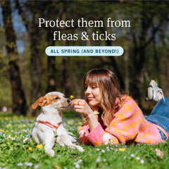 PetArmor Plus kills fleas and ticks within 24 hours for small dogs