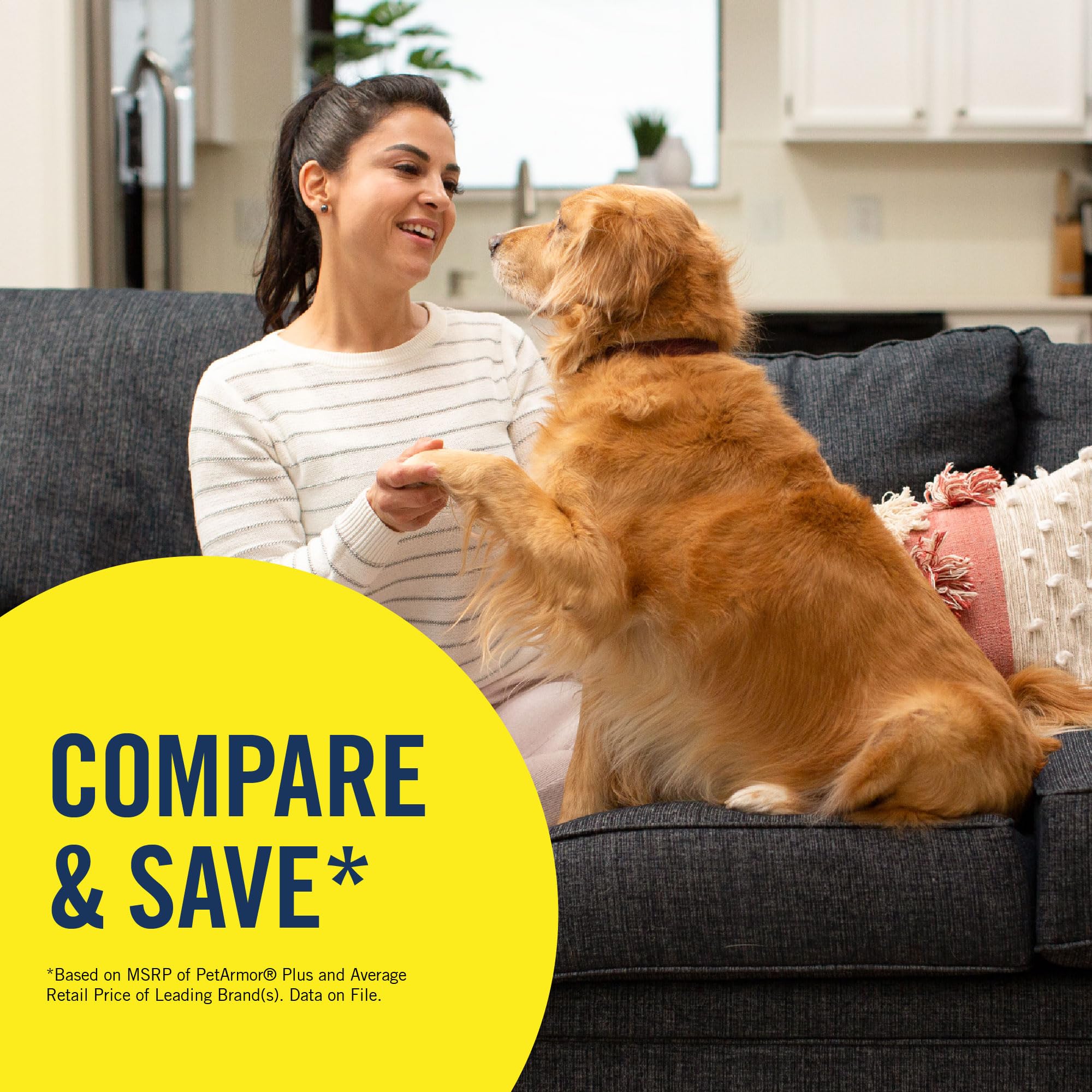 PetArmor Plus three-month protection shows long-lasting flea and tick care.