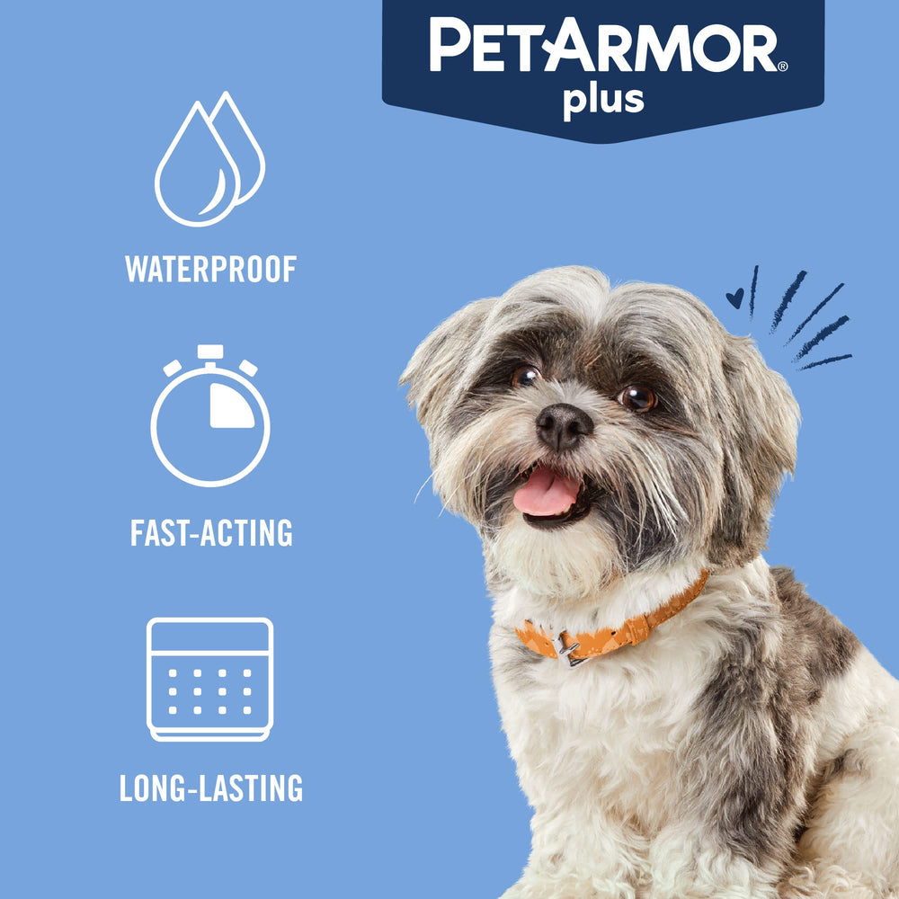 PetArmor Plus on a dog's coat after application for ongoing protection