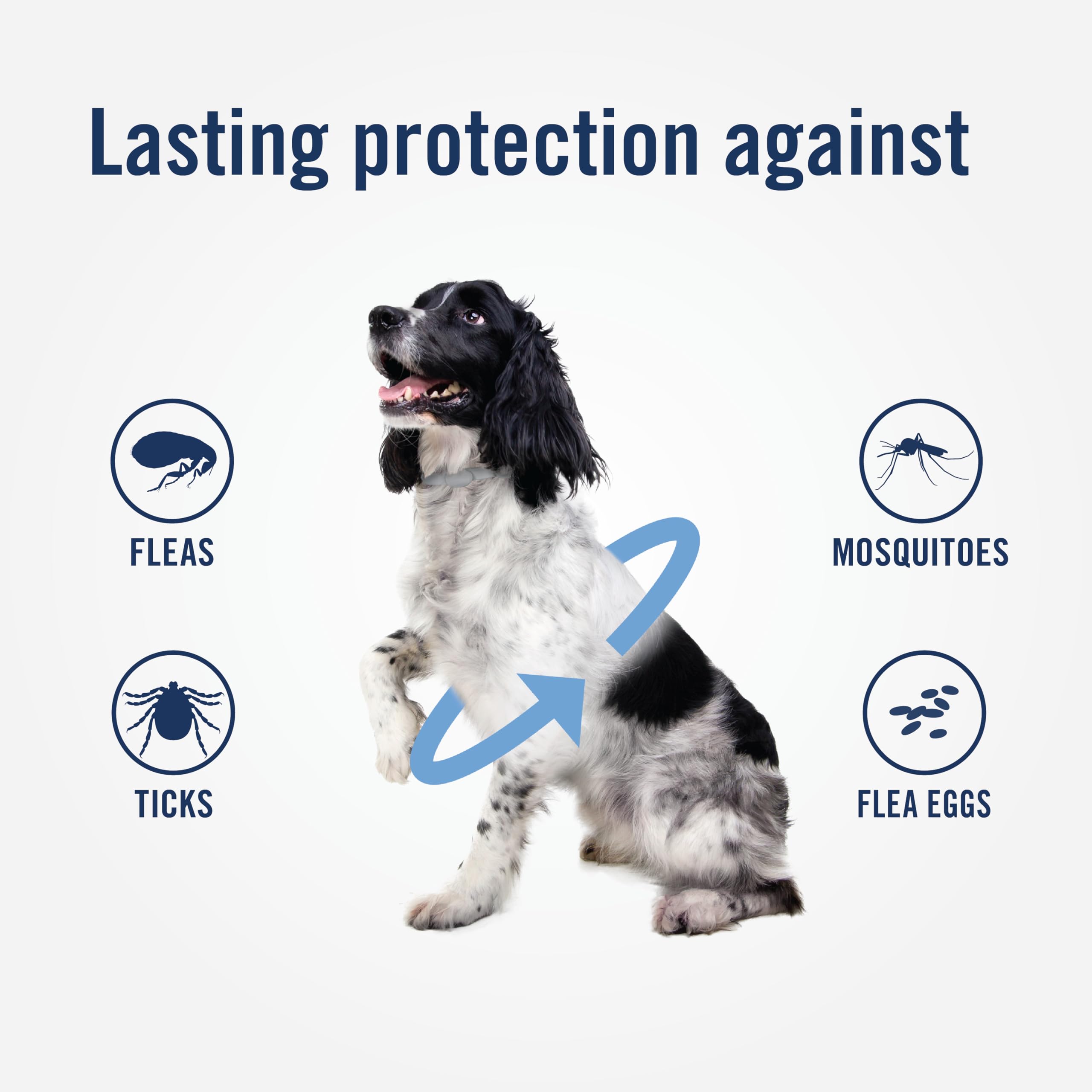 PetArmor Plus two-pack dog collars for extended coverage.