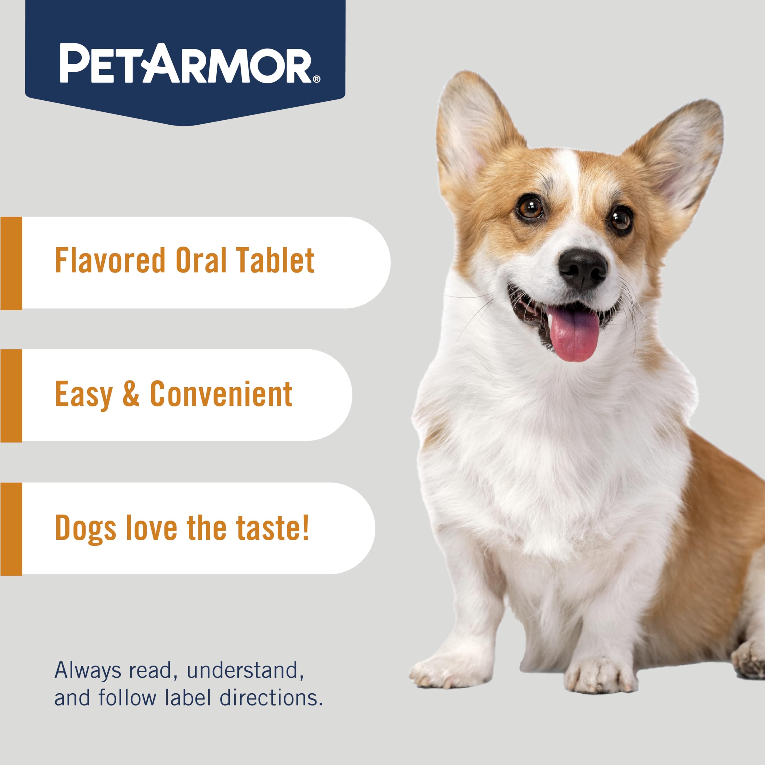 PetArmor small-dog enjoying chew, convenient dosing fits mealtime.