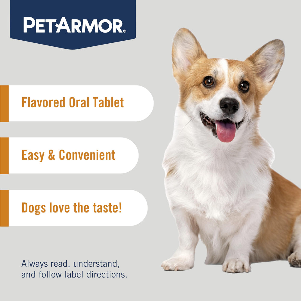PetArmor small-dog enjoying chew, convenient dosing fits mealtime.